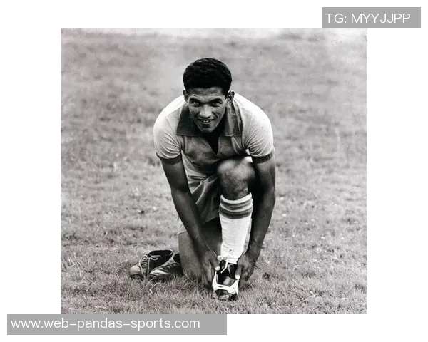 全球足球明星盘点及其成就与影响力分析