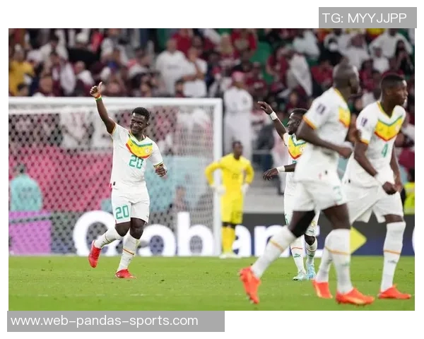 塞内加尔足球队的辉煌历程与未来发展展望